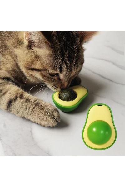 Küppet Avokado Catnip Avokado Kedi Çimi Topu Avokado Kedi Nanesi Oyuncağı