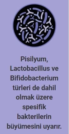 Pro Plan Fortiflora Plus 30x1.5 gr Kedi Probiyotik ve Prebiyotik Takviyesi