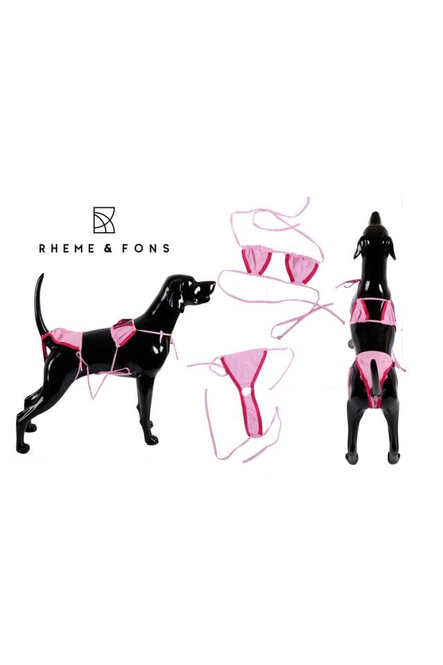 Set bikini per cani e gatti rosa, vestiti per cani e gatti rosa - 2XL