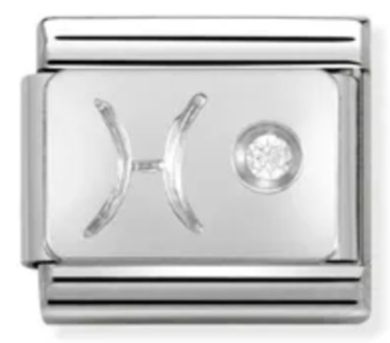 330302/12 Balık Burcu Charm