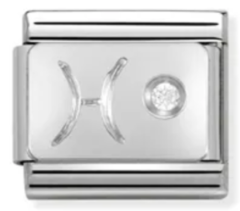 330302/12 Balık Burcu Charm