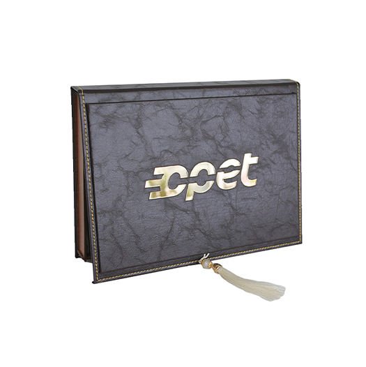 FULL DERİLİ AHŞAP KUTU