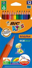Bic Kids Evolution Kuru Boya Kalemi 12'li