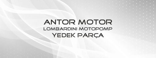 ANTOR/LOMBARDİNİ MARKA YEDEK PARÇA