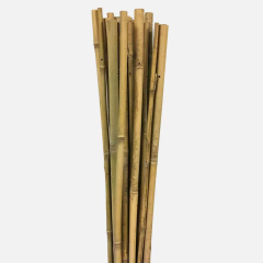 Gardener BAMBU BİTKİ DESTEK ÇUBUĞU 120 CM (10 ADET)