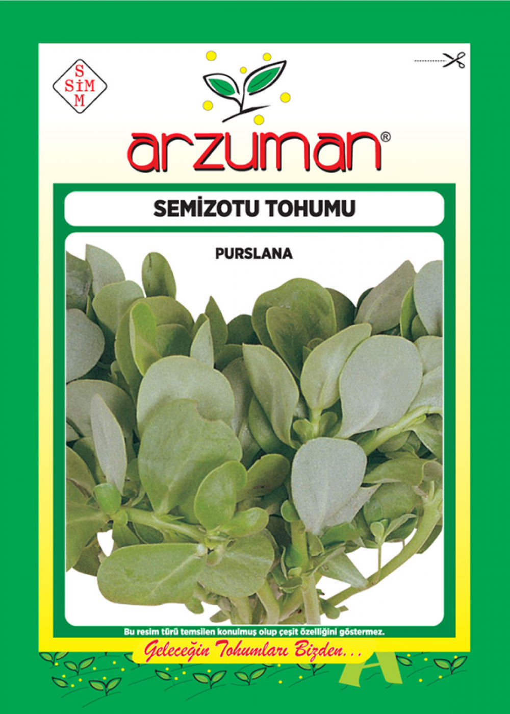 SEMİZOTU TOHUMU