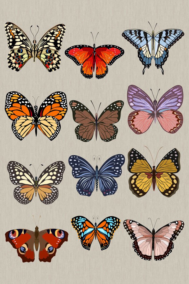 Renkli Kelebekler Desenli Duvar Örtüsü