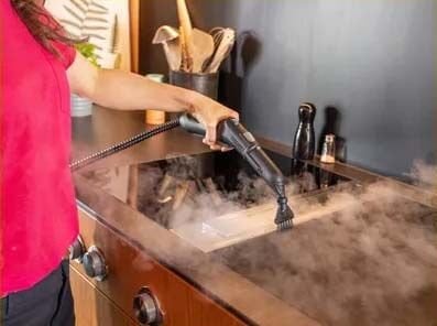 Buharlı Temizleyici