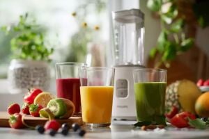 Philips HR2602/00 Daily Collection Smoothie Mini Blender