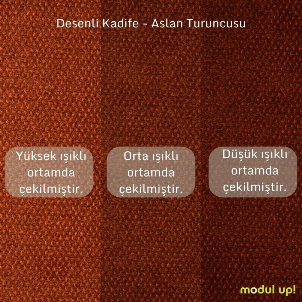 3x3x1 Takım - Fitilli - Desenli Kadife - Aslan Turuncusu - Zambak Beyazı - İskandinav  Kol