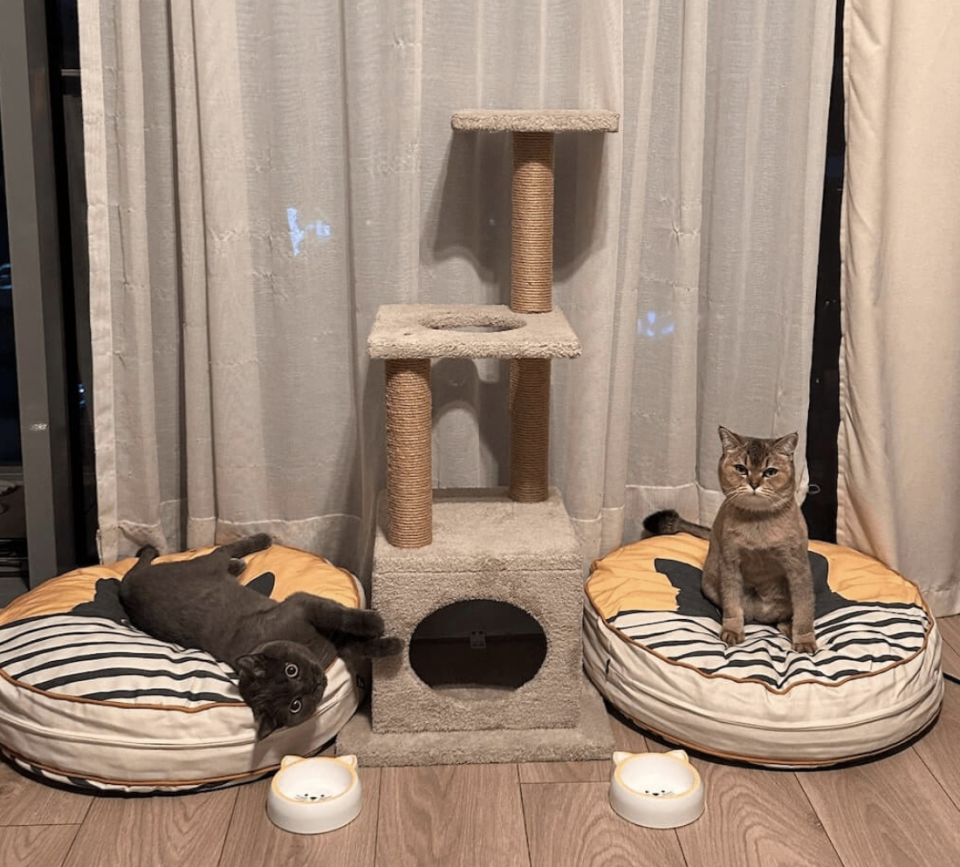 Pet Yatağı - Yuvarlak - Kedi