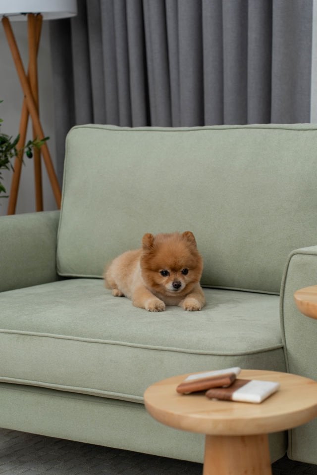 Loveseat - Fitilli - Mikro Kadife - Okaliptüs Yeşili - İskandinav Kol