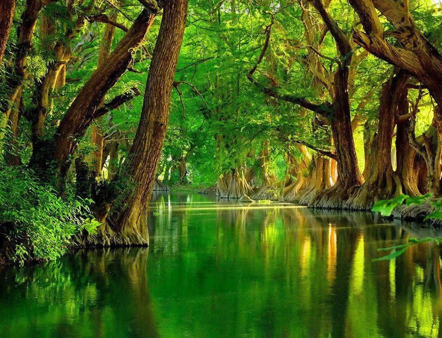 test211