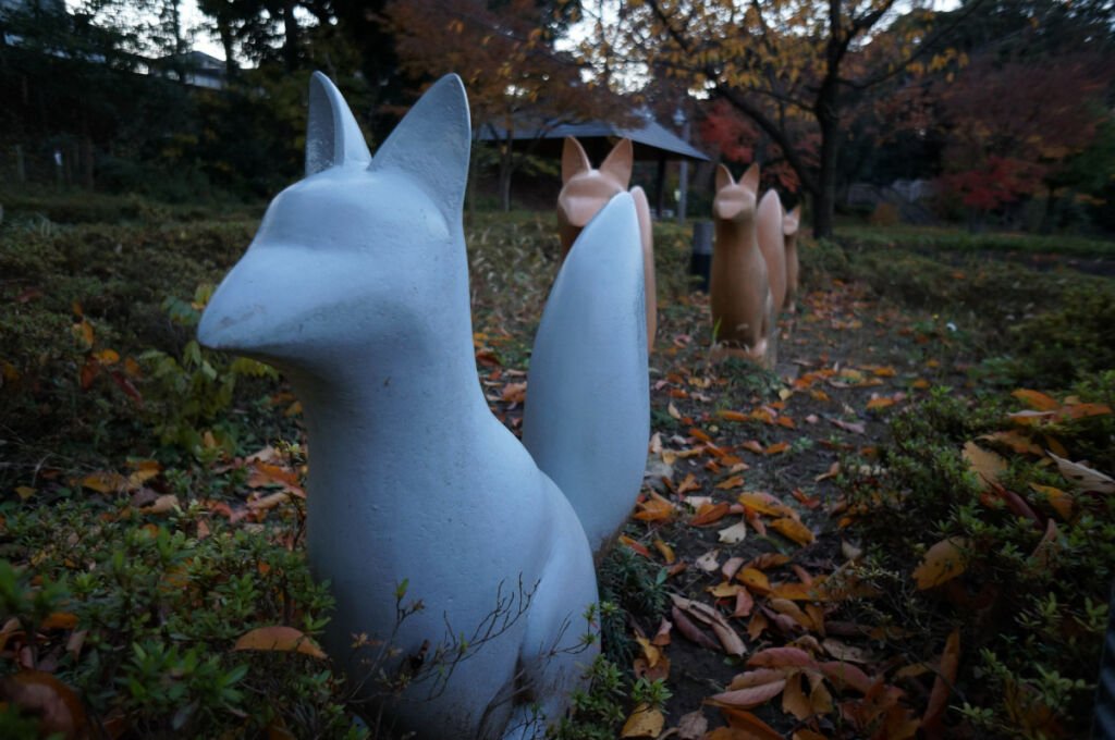 Merry See Dantel Şık Sütyen Külot Takım Yeşil