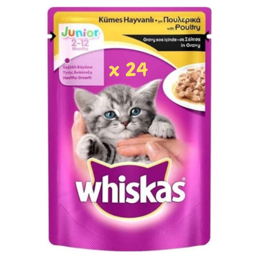 Whiskas Pouch Sos İçinde Kümes Hayvanlı Yavru Kedi Konservesi 85 Gr 24 Adet