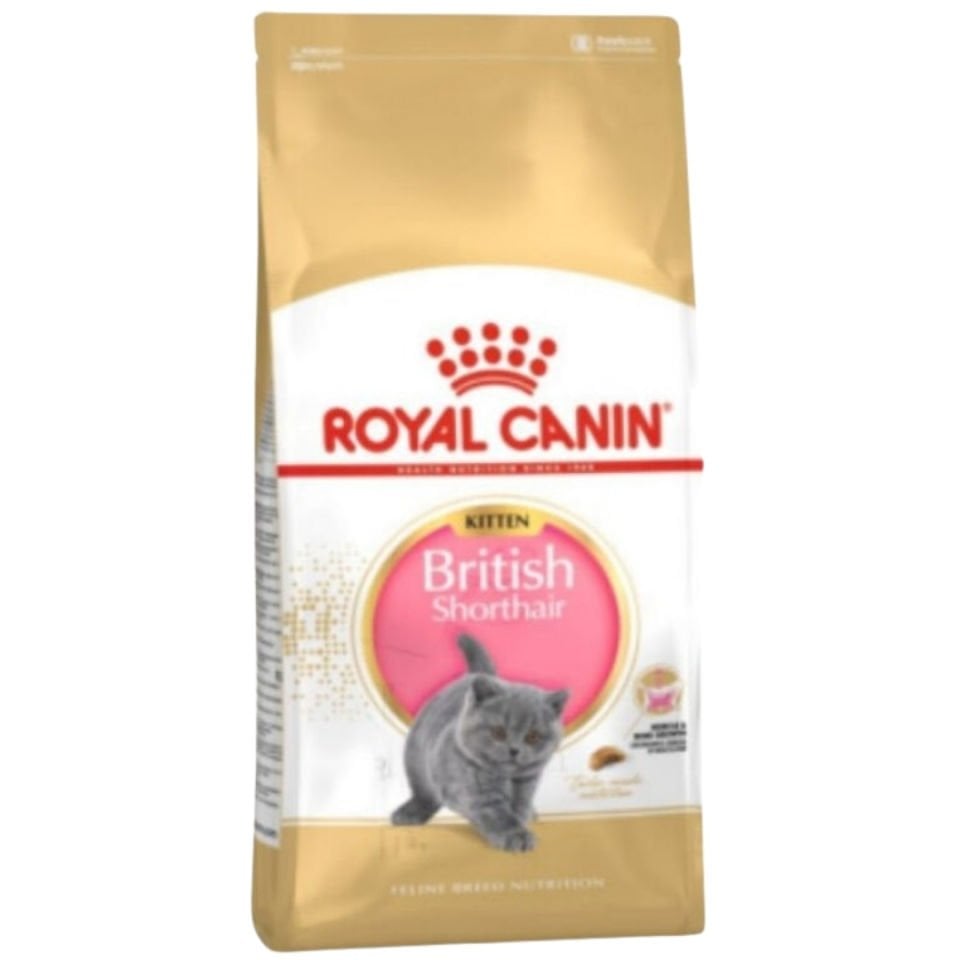 Royal Canin Kitten Persian Yavru İran Kedisi için Kuru Mama 2 Kg