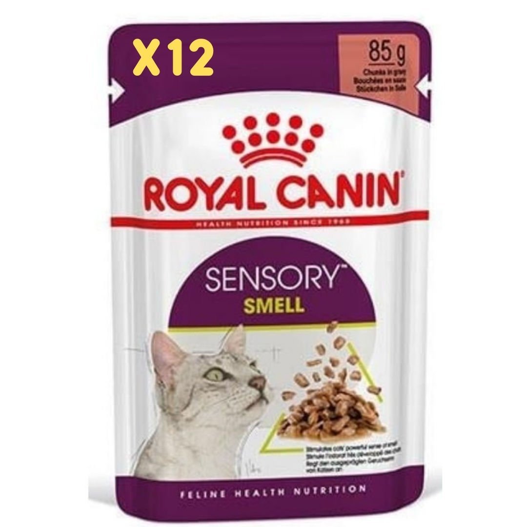 Royal Canin Sensory Smell Yetişkin Kedi Konservesi 12x85gr