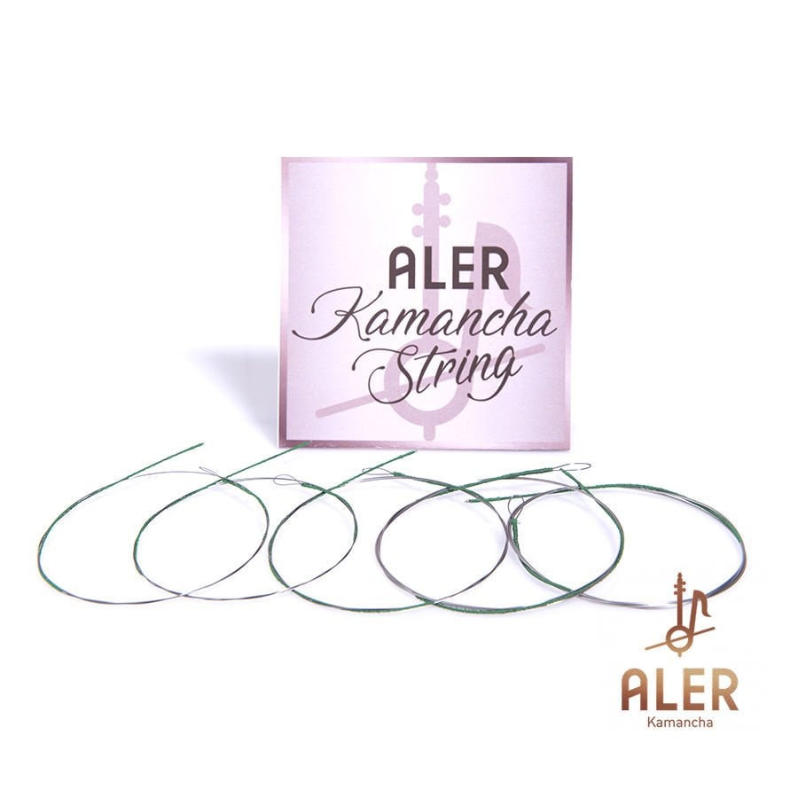 Set of four Kamancha strings