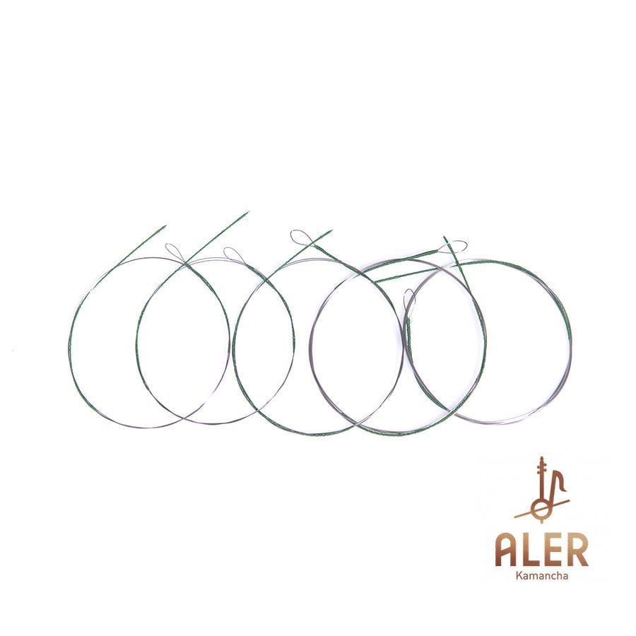 Set of four Kamancha strings