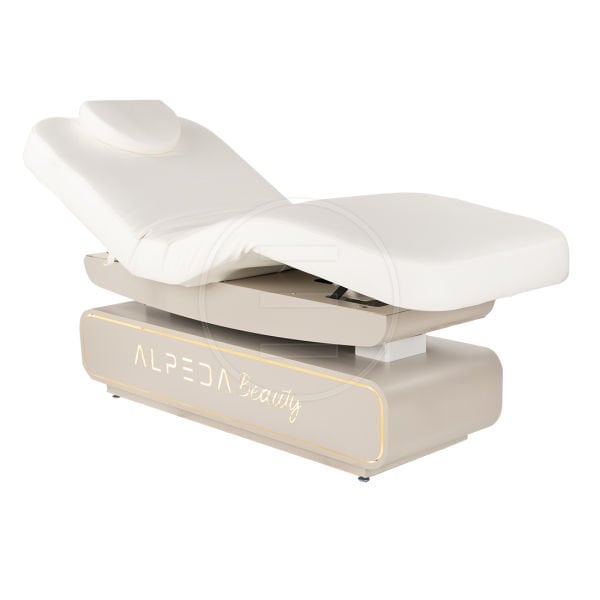 Lyre Lg Cilt Bakım Masaj ve Terapi Yatağı (4 Motorlu)