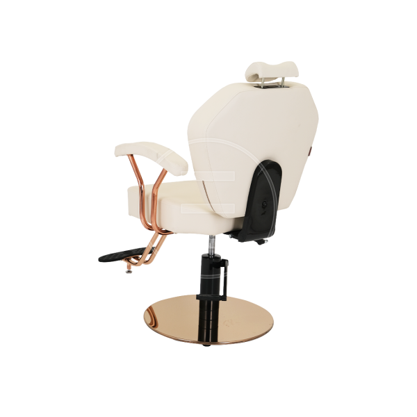 Makeup Rose Sl Makyaj Koltuğu