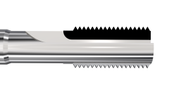 Whitworth Diş (G)