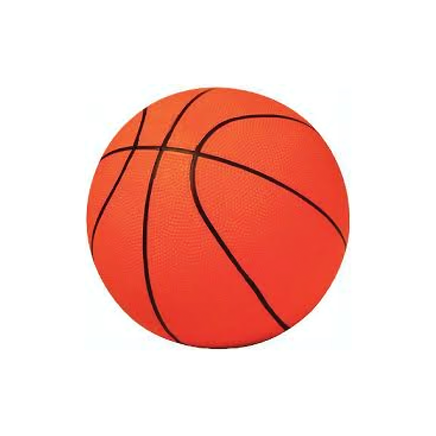 Protech Basketball Ball