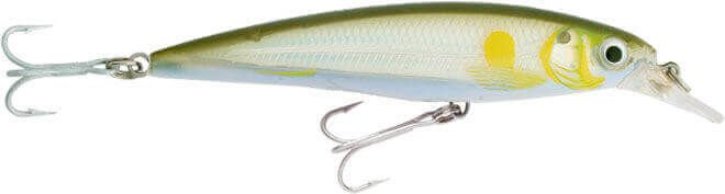 Rapala X-Rap Saltwater Sahte Balığı AYU - 140MM