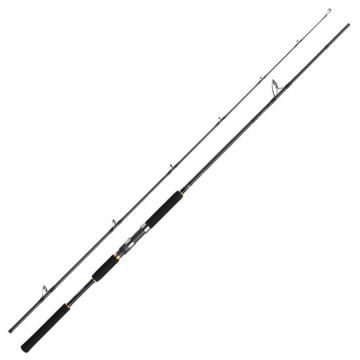 Daiwa Jig Caster MX 96MH 290cm Jig Kamışı