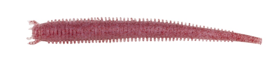 Berkley Gulp Saltwater Fat Sandworm Sahte Kurt CLEAR RED FLECK - 10CM