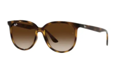 Ray-Ban Rb4378 710/13 54 16 145 3N Güneş Gözlüğü