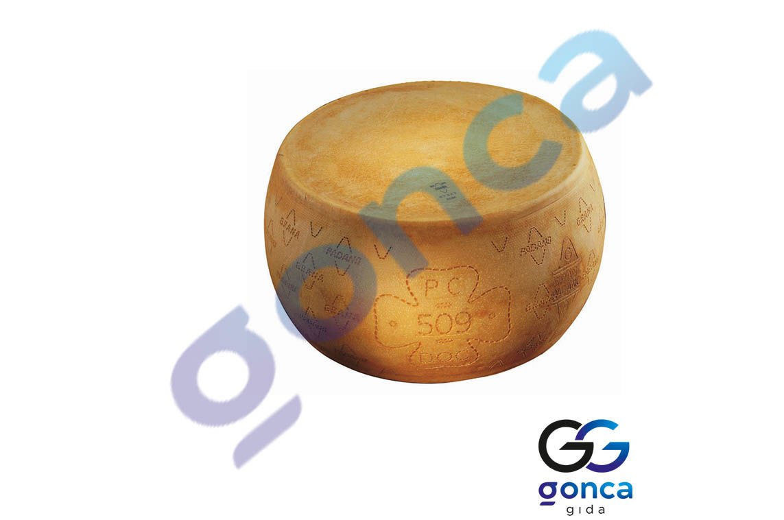 PARMESAN GRAN GUSTO ORT. 3,5 KG