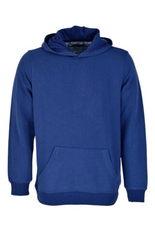 Erkek Kapüşonlu Basic Sweatshirt R2248 BGL-ST03192