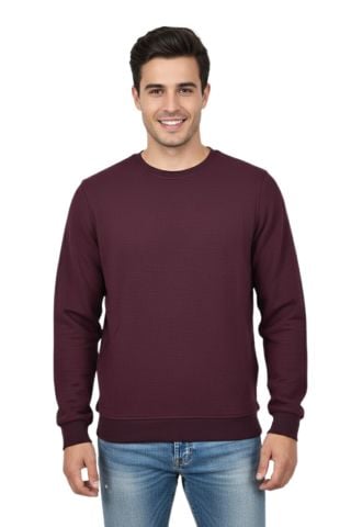 Erkek Sıfır Yaka Petek Doku Regular Fit Sweatshirt BGL-ST04950