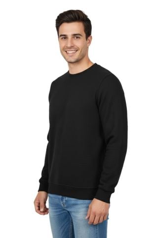 Erkek Sıfır Yaka Petek Doku Regular Fit Sweatshirt BGL-ST04950