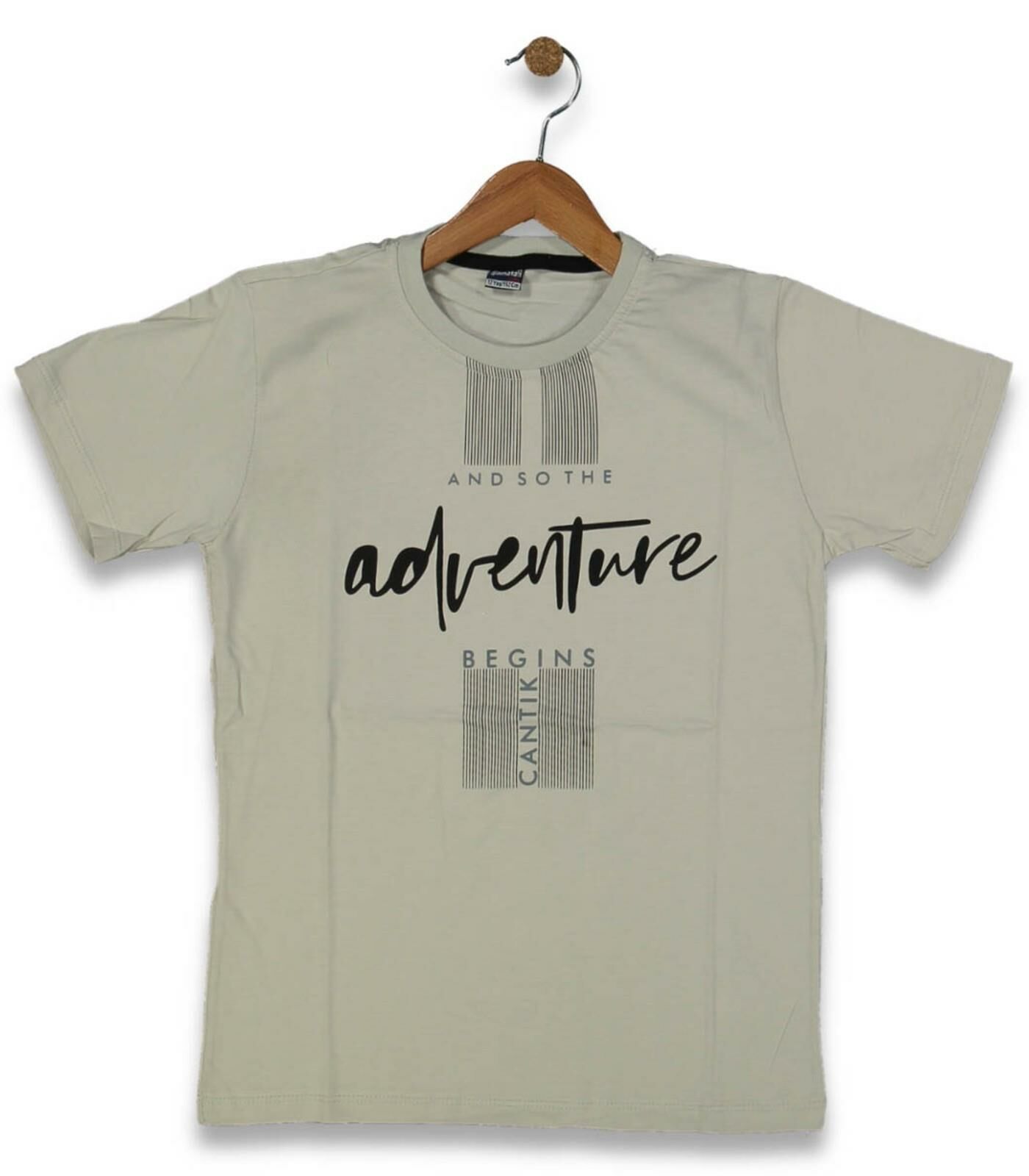 Erkek Çocuk And Sothe Baskılı Tişört BGL-ST04460