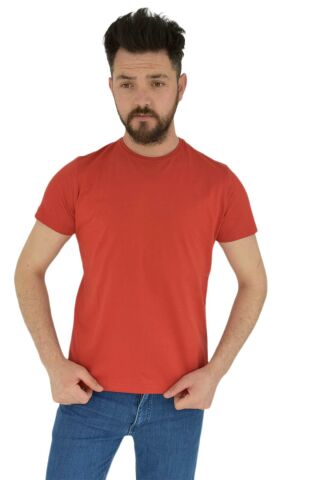 Erkek Sıfır Yaka Tişört Penye BGL-ST02799