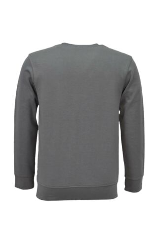 Erkek Spor Mevsimlik Sıfır Yaka Sweatshirt BGL-ST03934