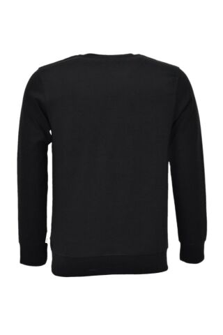 Erkek Spor Mevsimlik Sıfır Yaka Sweatshirt BGL-ST03934
