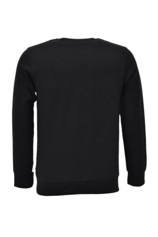 Erkek Spor Mevsimlik Sıfır Yaka Sweatshirt BGL-ST03934