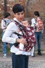 Huggy Nest Baby Carrier - Dock Valentine