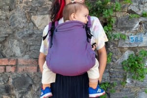 Huggy Plus Toddler Size Carrier - Berry