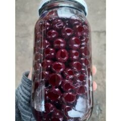 Karayemiş -Tafnal Tuzlaması (1 Kg )