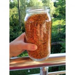 Taze Arı Poleni Yeni Sezon (100 gr.)