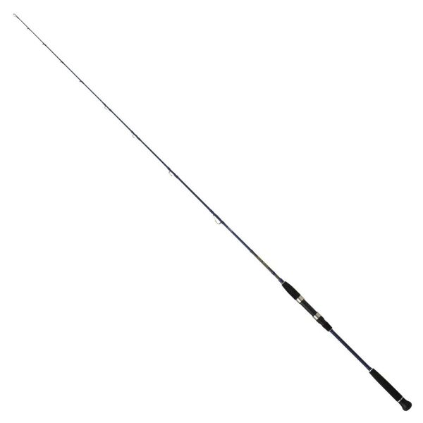 Daiwa Exceler Oceano 190cm 60-120gr Jig Olta Kamışı