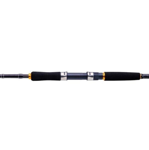 Daiwa New Legalis Seabass 210cm 14-42 2 Parça Olta Kamışı