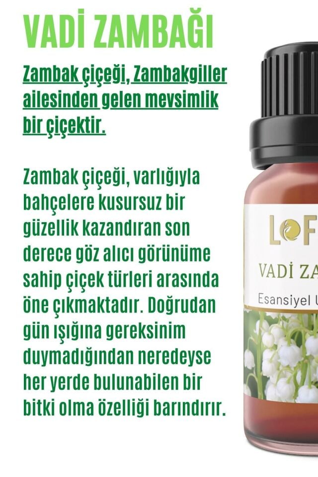 Vadi Zambağı Uçucu Yağ Buhurdanlık Esansı Oda Kokusu Esansiyel Yağ Buhur Yağı 10ML