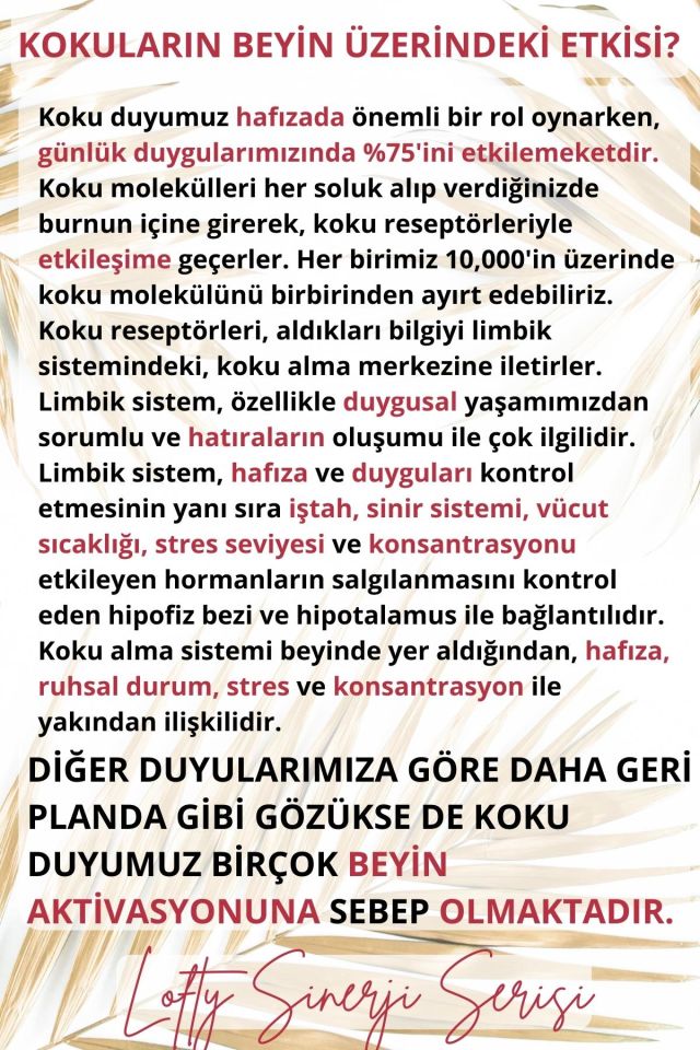 10'lu Set Sinerji Karışım Esansiyel Uçucu Yağ Buhurdanlık Yağı Aromaterapi Difüzör, Esans