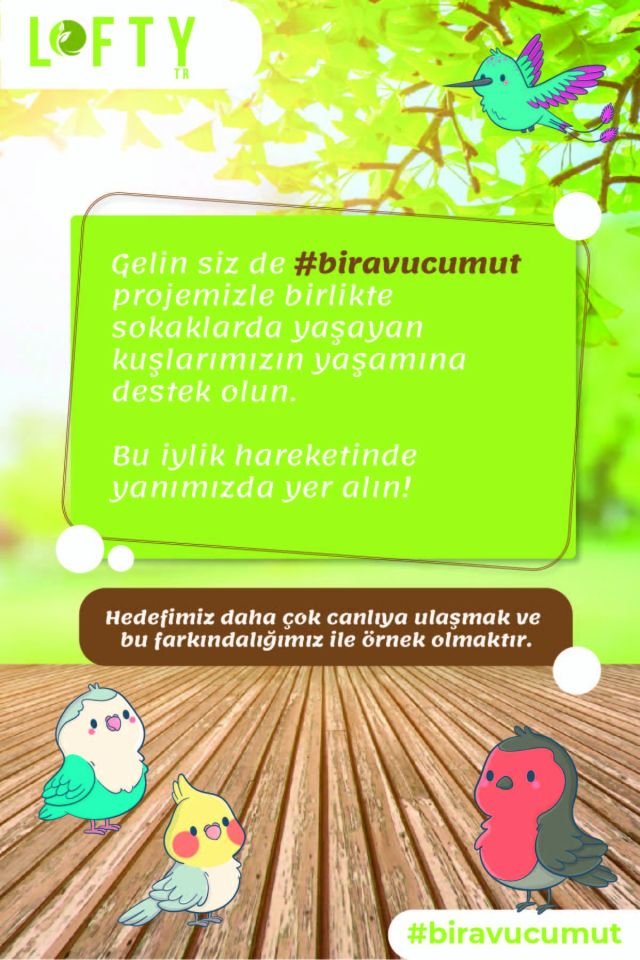 6X Çiçekler Seti Esansiyel Uçucu Yağ, Buhurdanlık Yağı, Difüzör Esansı, Oda Kokusu Küre Uyumlu 10ml