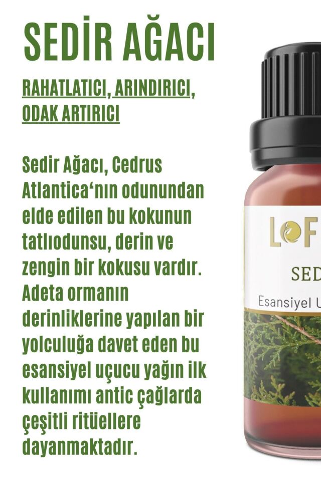 Sedir Uçucu Yağ Buhurdanlık Esansı Oda Kokusu Esansiyel Yağ Buhur Yağı 30ML